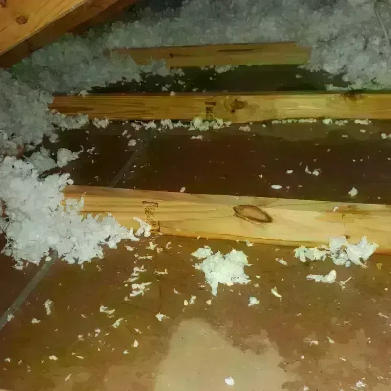 Attic Water Damage in Poydras, LA